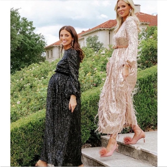 Antonio Melani Sequin Feathered A-line Dress Size 2 NWT - Picture 6 of 12